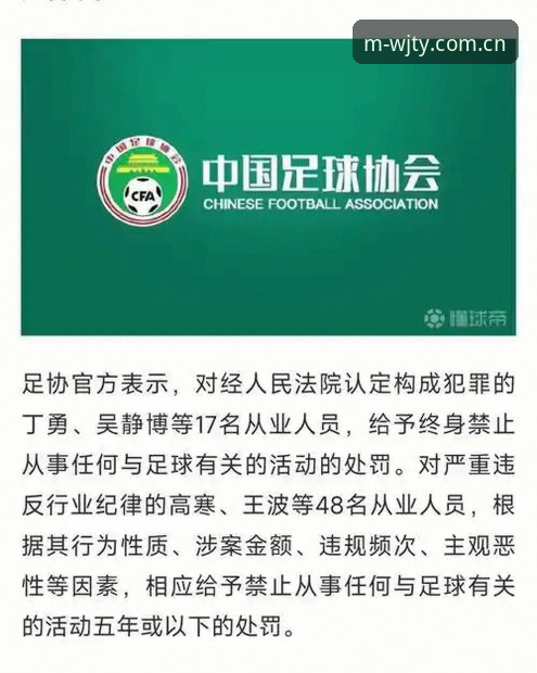 维基体育合法吗 3大维度解读足协第三批禁足名单:65人受罚背后的行业洗牌与创新思考