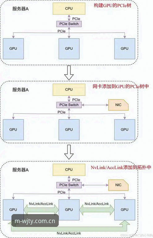 深度揭秘：维基体育官网登录入口对比，不同入口隐藏的体验差异